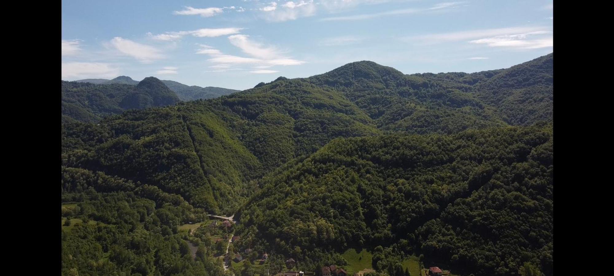 Juzni Vetar Hotel Trnski Odorovci Eksteriør billede